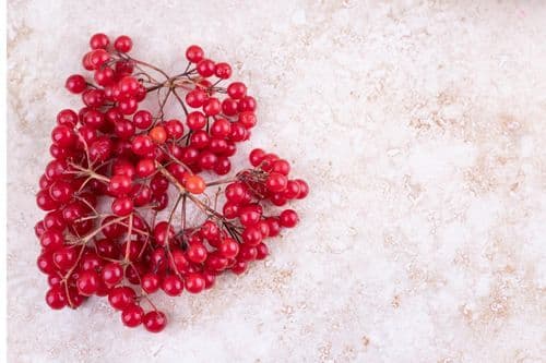 Does cranberry juice make you poop?
